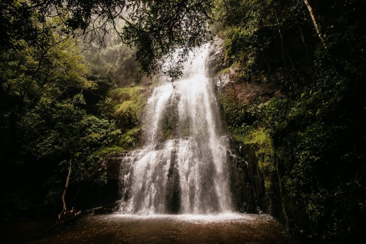 Mount Sheba Rainforest Hotel & Resort Pilgrim's Rest Bagian luar foto