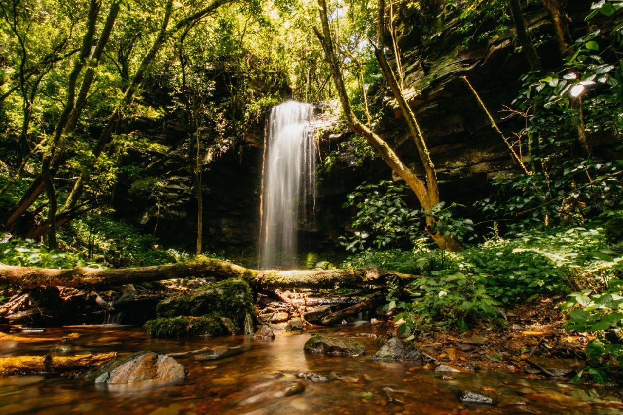 Mount Sheba Rainforest Hotel & Resort Pilgrim's Rest Bagian luar foto